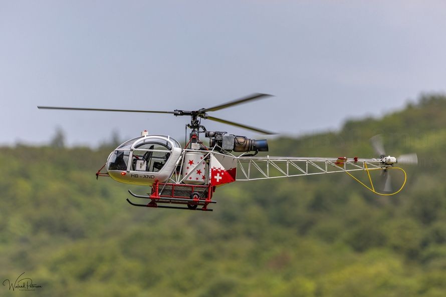 Rumpfbausatz Lama 1:8 "Baby Lama" 1:8 inkl. Elektro-Mechanik