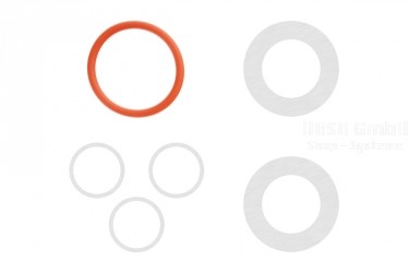 Dichtungssatz (Auspuff, Zylinderkopf, Rückwand) AP09A