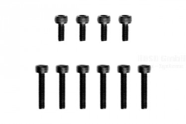 Motorschrauben-Set (10 Stück) S15A