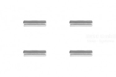 M2 V3 PRO Lagerstifte für TS-Mitnehmerarm