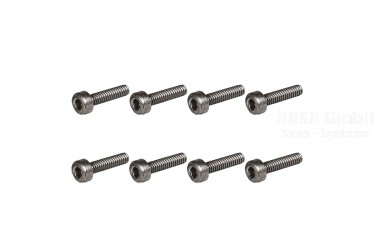 M4 Inbusschraube M2x8mm 8St.