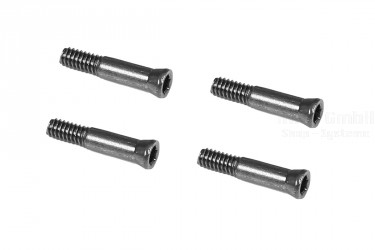 M4 MAX Schraube M2x10.5mm
