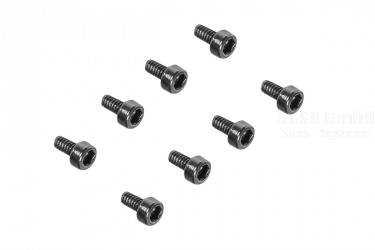 M4 MAX Schraube M1.6x3mm