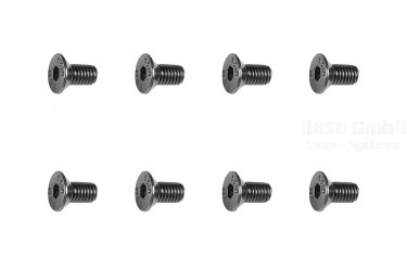 M4 MAX Schraube M3x6mm