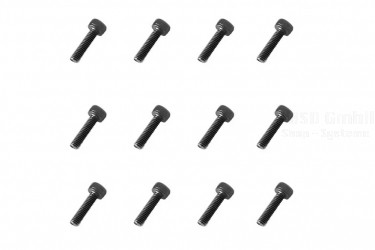 M5 Screw M2.5x10